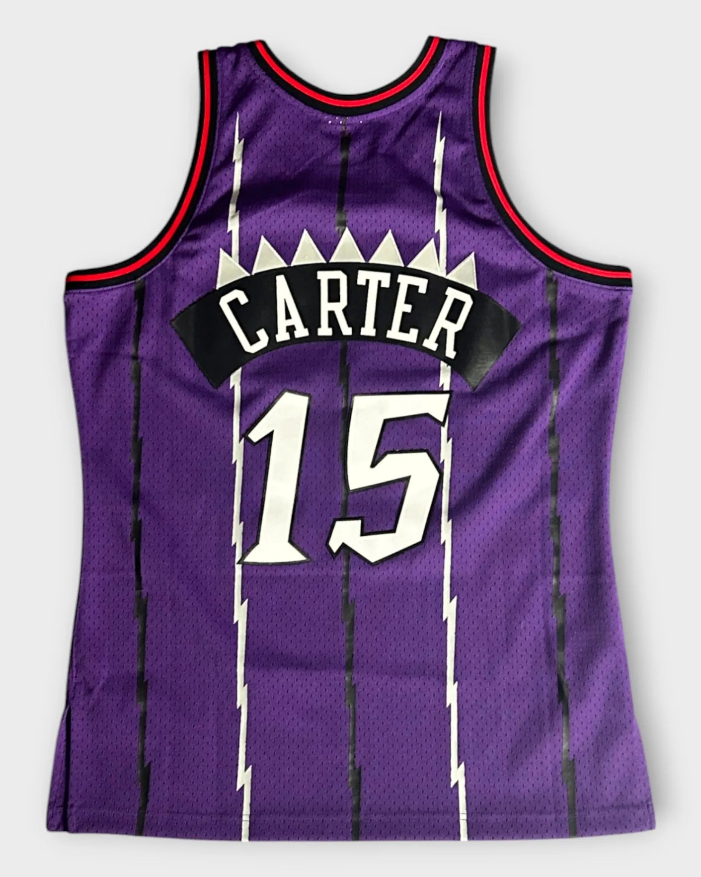 Purple Mitchell & Ness Raptors Basketball Jersey - L