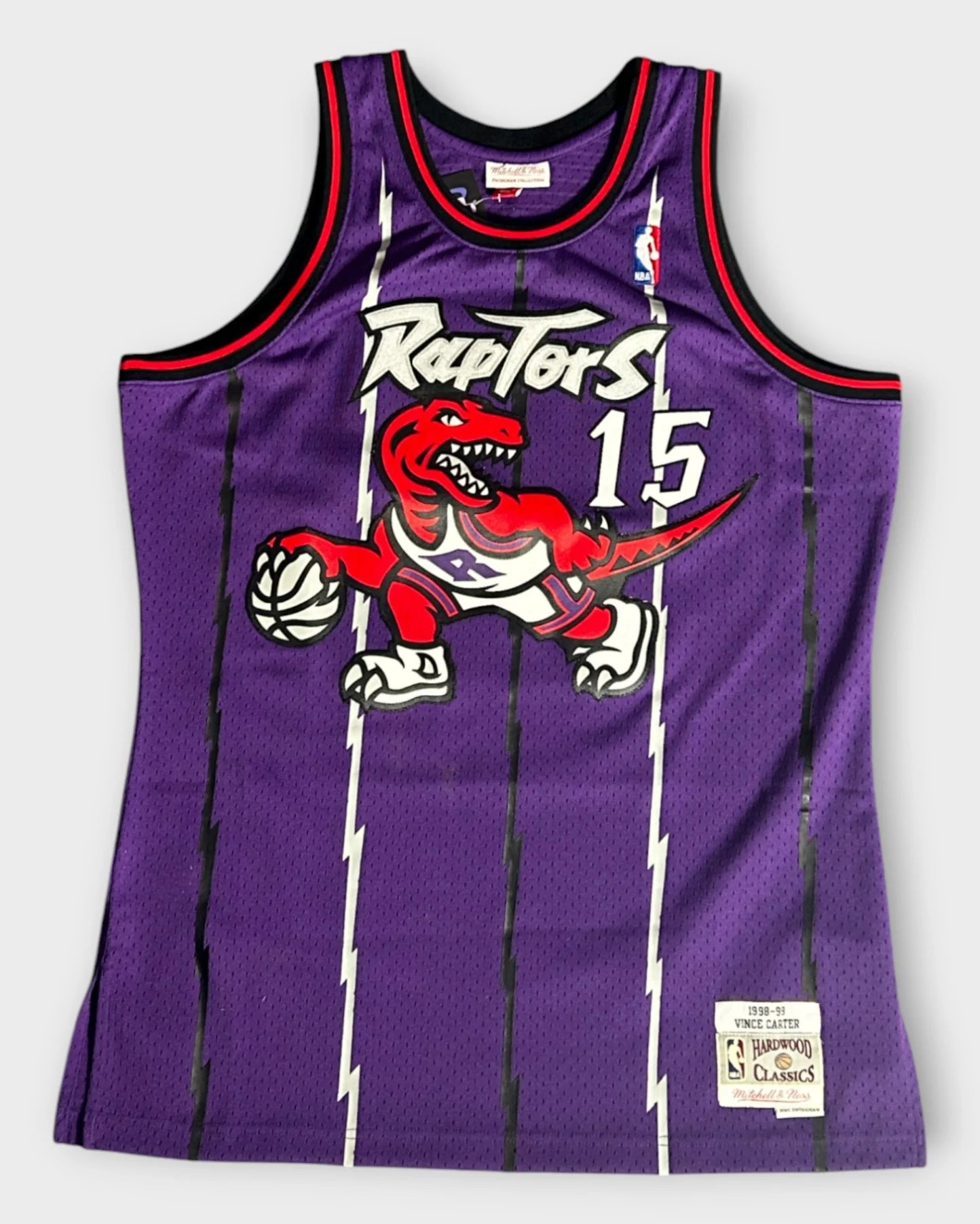 Purple Mitchell & Ness Raptors Basketball Jersey - L