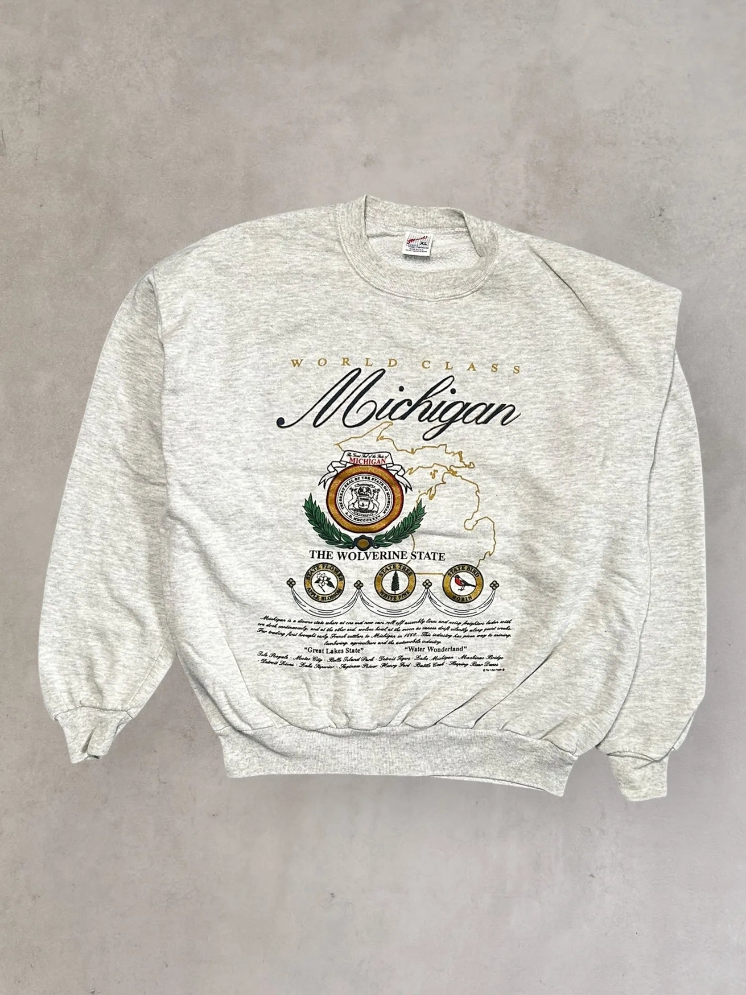 jerzees Michican Sweatshirt - L